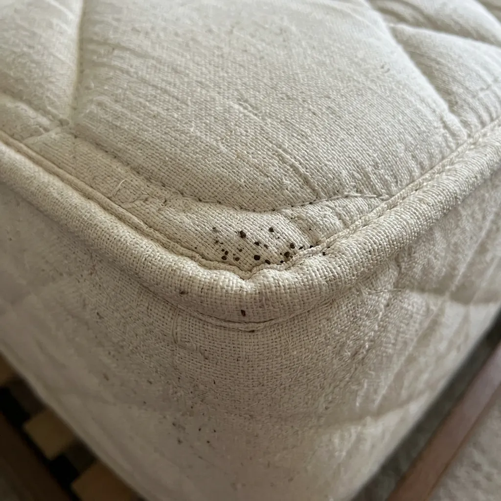 Photo 3 for Bed Bug Treatment: Mattress seam checked for bed bug signs, shown as an example of the work
